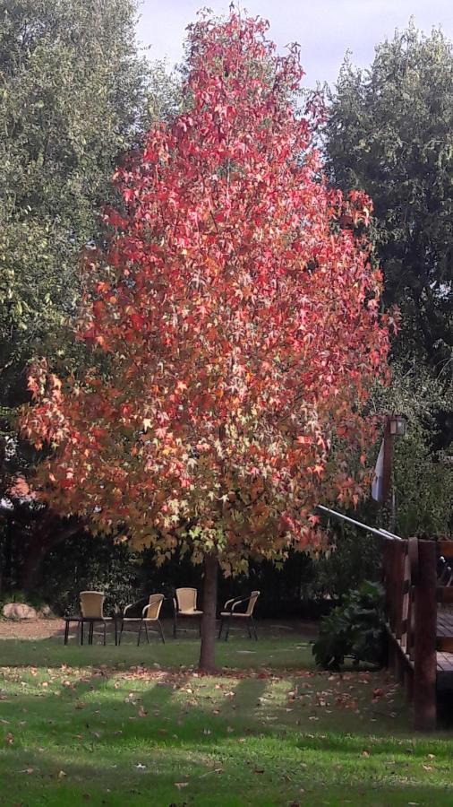 Complejo Retana Villa Potrero de los Funes Exteriör bild
